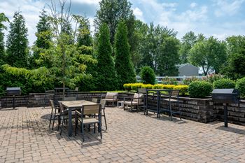 Bbq/picnic area
